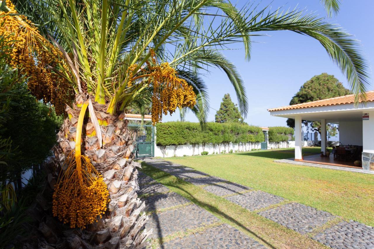 Finca La Vizcondesa Icod De Los Vinos Ngoại thất bức ảnh