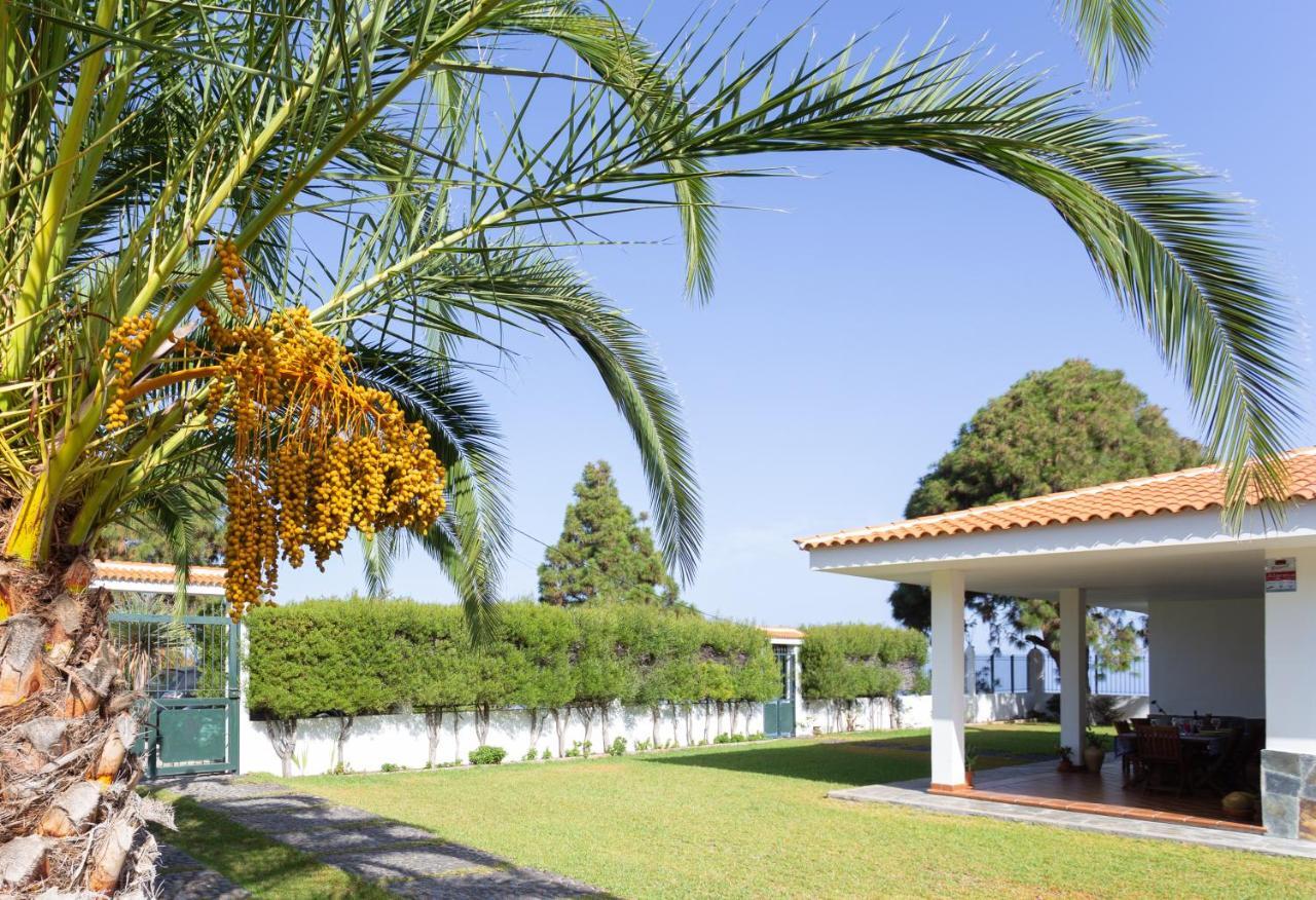 Finca La Vizcondesa Icod De Los Vinos Ngoại thất bức ảnh
